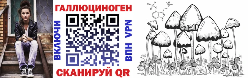 Псилоцибиновые грибы Cubensis  дарк нет формула  Высоковск 